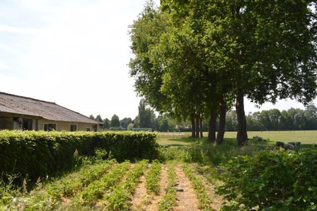 Residentie De Hoek Den Dungen Екстер'єр фото