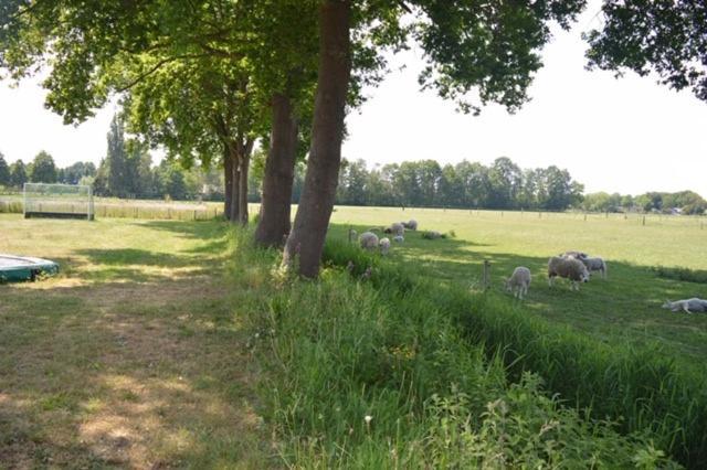 Residentie De Hoek Den Dungen Екстер'єр фото